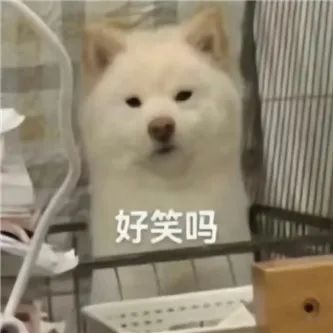 你们坐过这个吗？ - 炫图天下