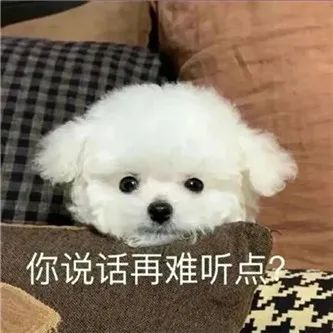 啧啧，这短裙，杀伤力如何？？ - 炫图天下