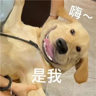 大 香 港 ！ - 炫图天下
