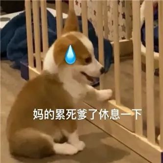 你们的眼睛，在看哪里？ - 炫图天下