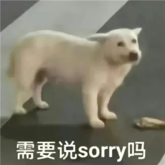 斑点袜，谁可以了？？ - 炫图天下