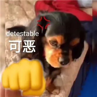 是你喜欢的大小？ - 炫图天下
