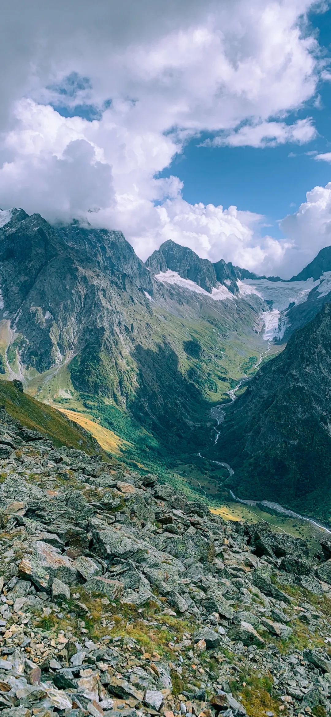 手机壁纸 | 我躲在荒芜穿过了迷雾 熙熙攘攘为谁奔赴 - 炫图天下