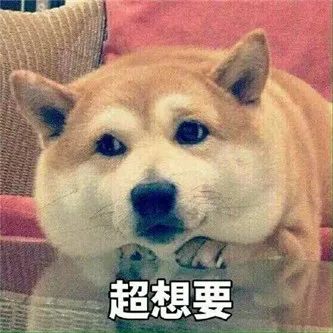 韩妹，大姐姐的味道！~ - 炫图天下