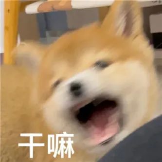 可恶，放开那只狗！ - 炫图天下