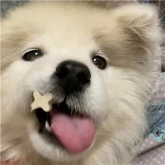 好大的汉堡！ - 炫图天下