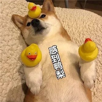 这身材，谁受得了啊？？ - 炫图天下