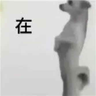 再一次看，还是好圆！ - 炫图天下