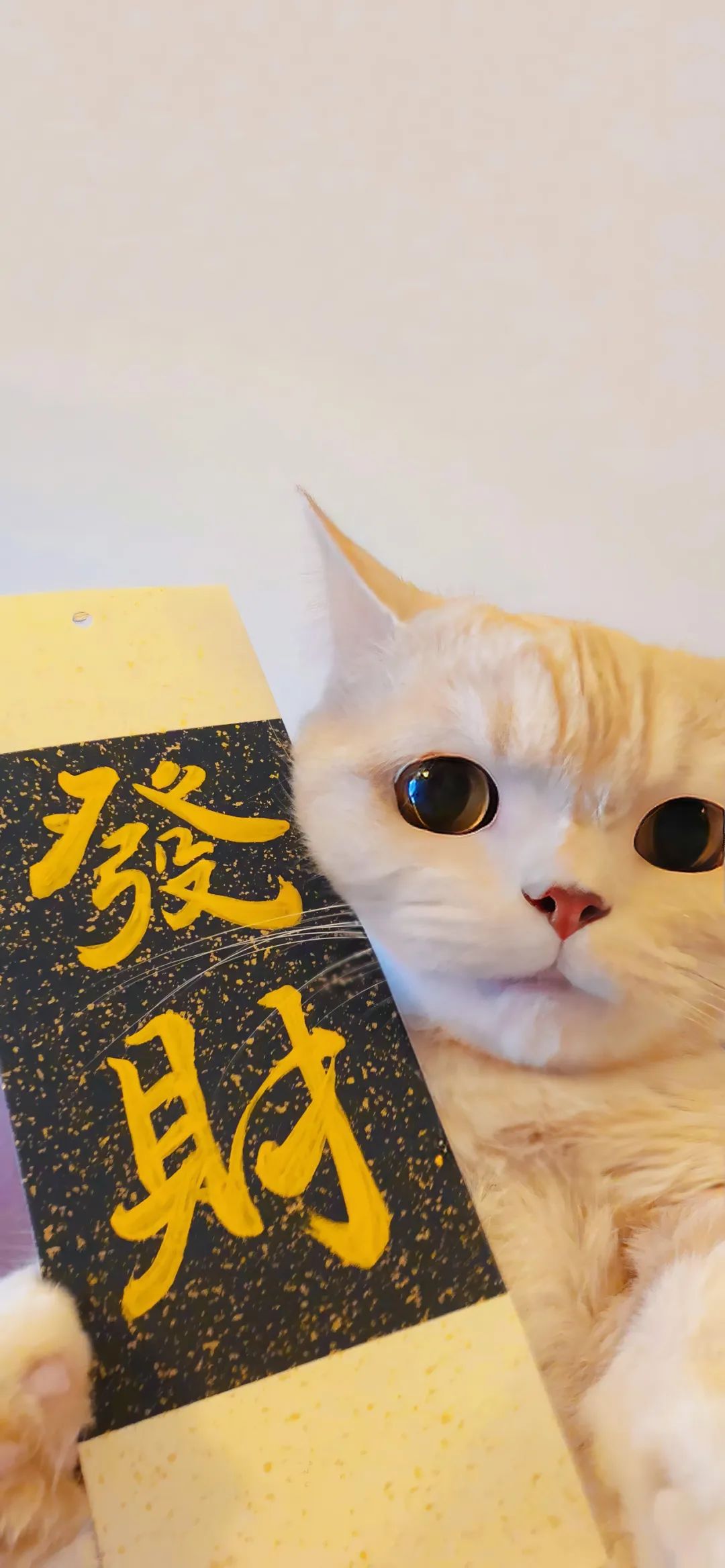 手机壁纸 | 我付出过什么没关系 我忽略自己 就因为遇见你 - 炫图天下