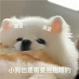 日本少女，她不冷吗？ - 炫图天下