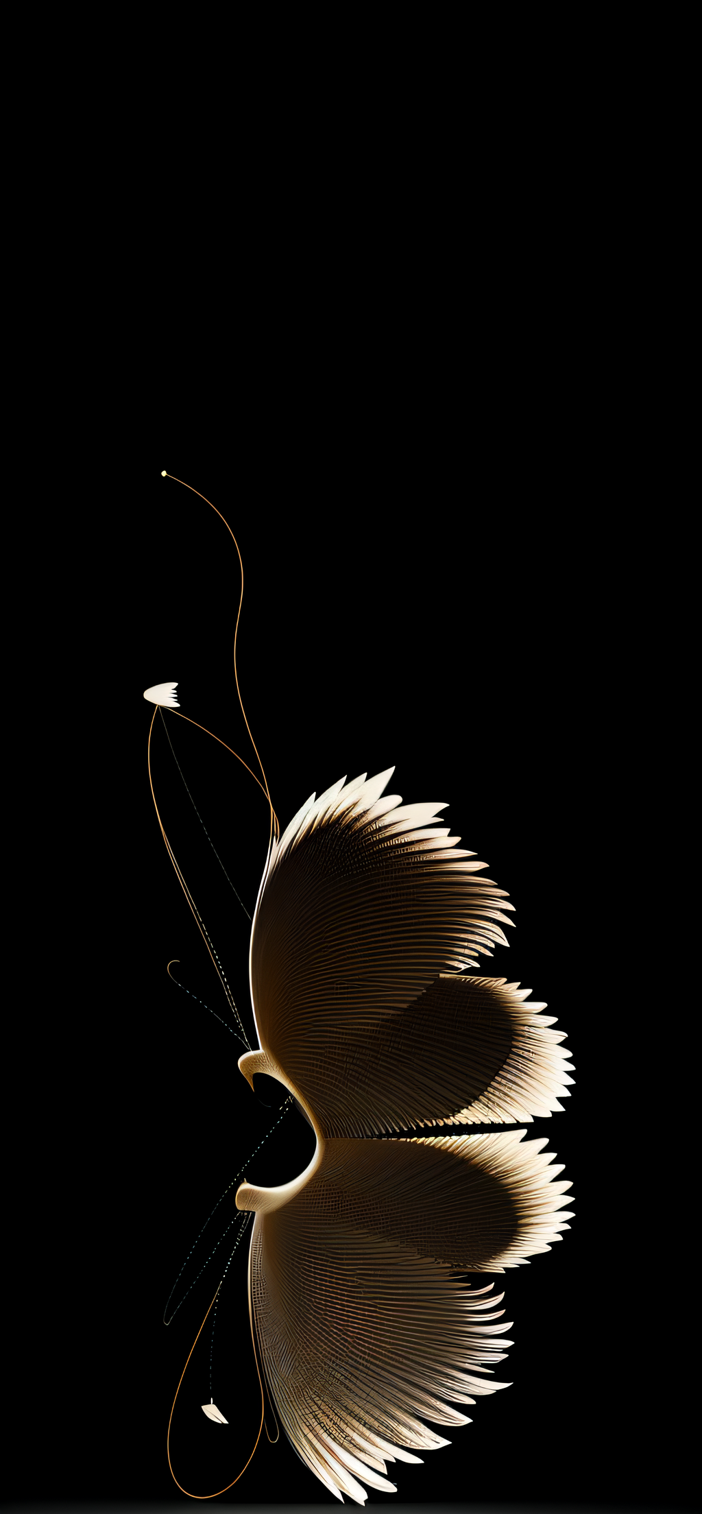 手机壁纸 | 长的是磨难，短的是人生 - 炫图天下