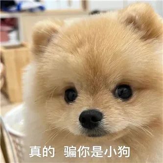 台妹の大披萨！ - 炫图天下