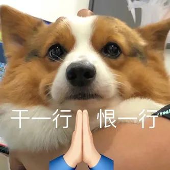 台湾の大杀器！ - 炫图天下