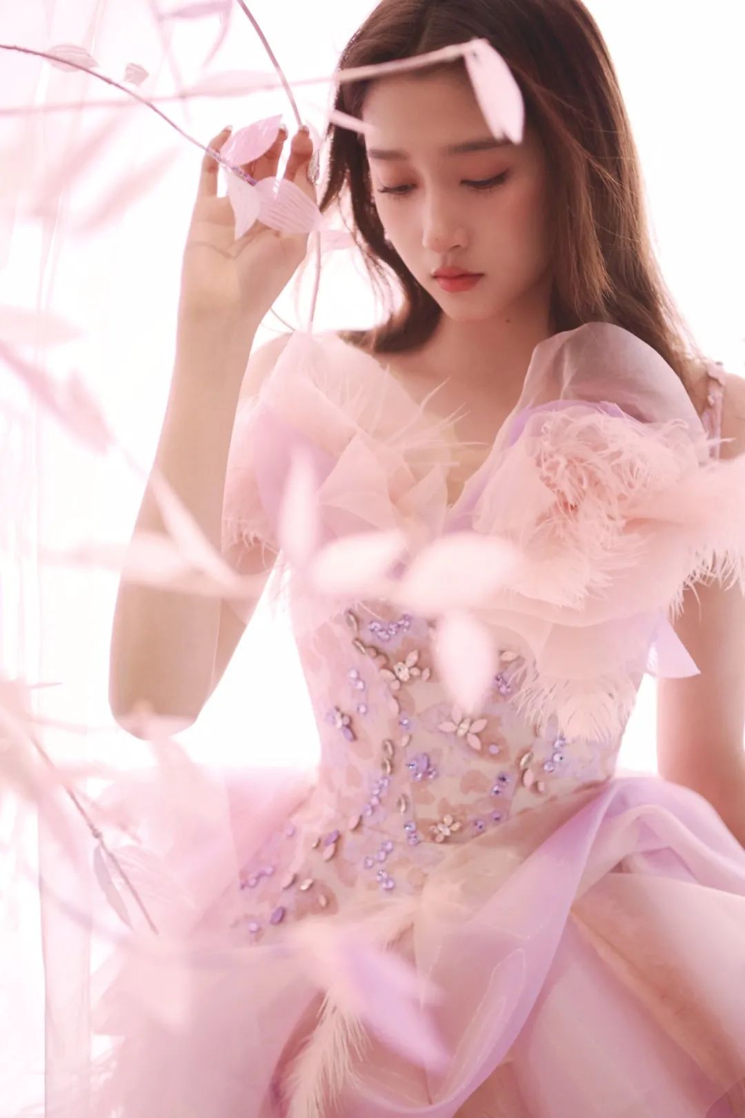 关晓彤 新春写真花开迎春 - 炫图天下