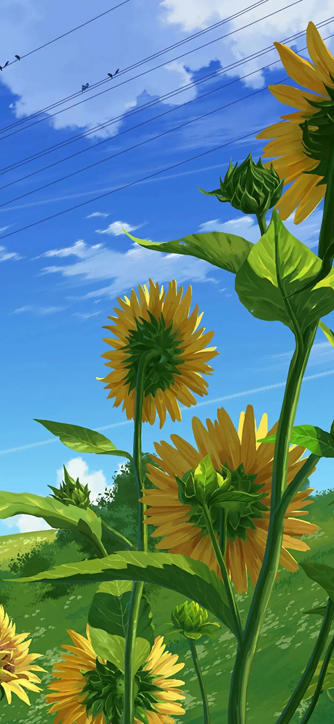 手机壁纸 | 一个人熬过一些苦才能无所不能 - 炫图天下