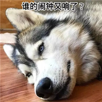 好圆，她真的好圆！！ - 炫图天下