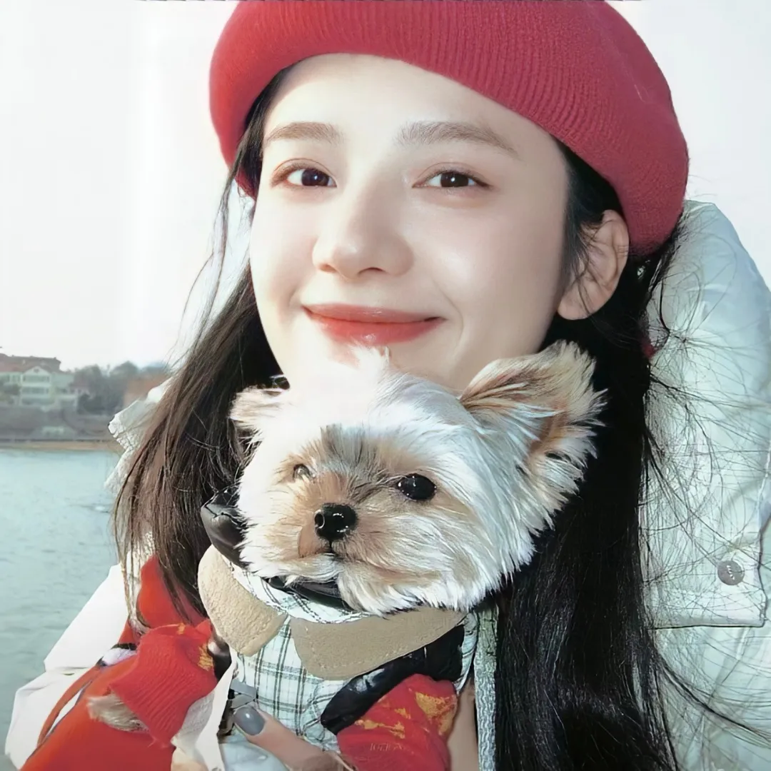 张婧仪｜青春疼痛文女主 - 炫图天下