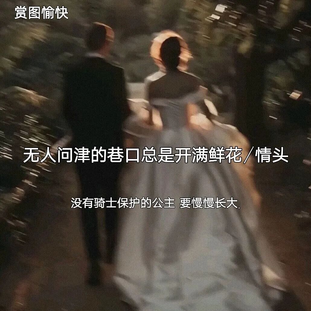 无人问津的巷口总是开满鲜花 - 炫图天下