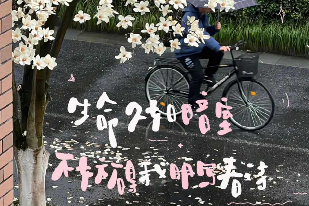 分享 | ipad壁纸 - 炫图天下