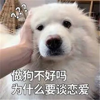 这个台妹，有点凶啊！！ - 炫图天下