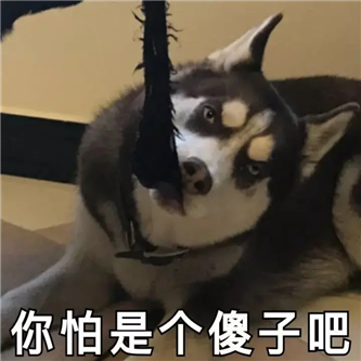 她这，我太爱了！！ - 炫图天下