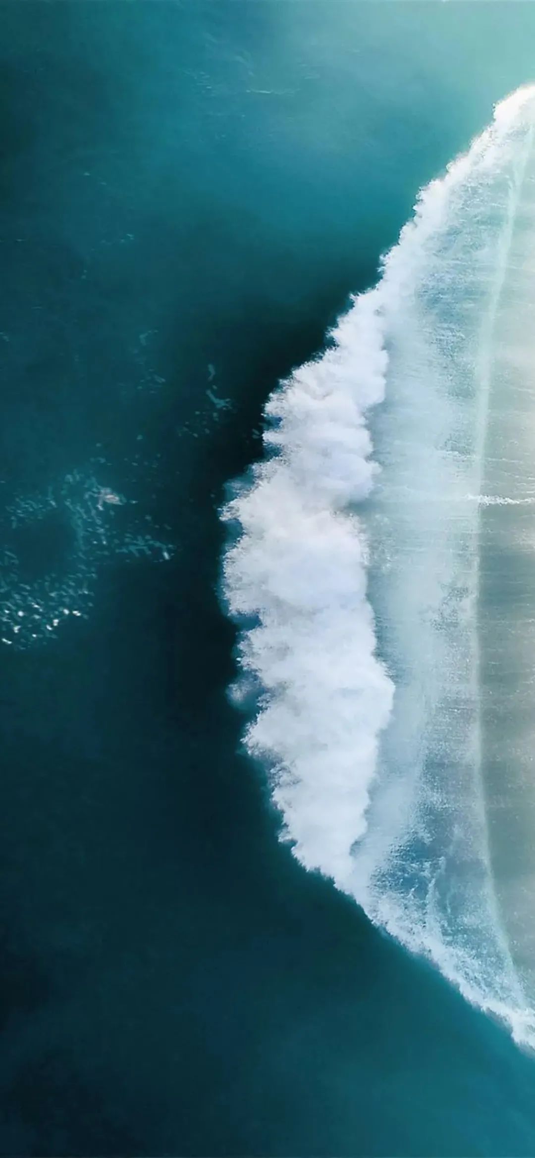 手机壁纸 | 万事都要全力以赴，包括开心。 - 炫图天下