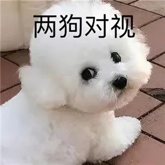她的眼镜好大！ - 炫图天下