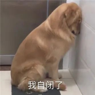 这腿可以！ - 炫图天下