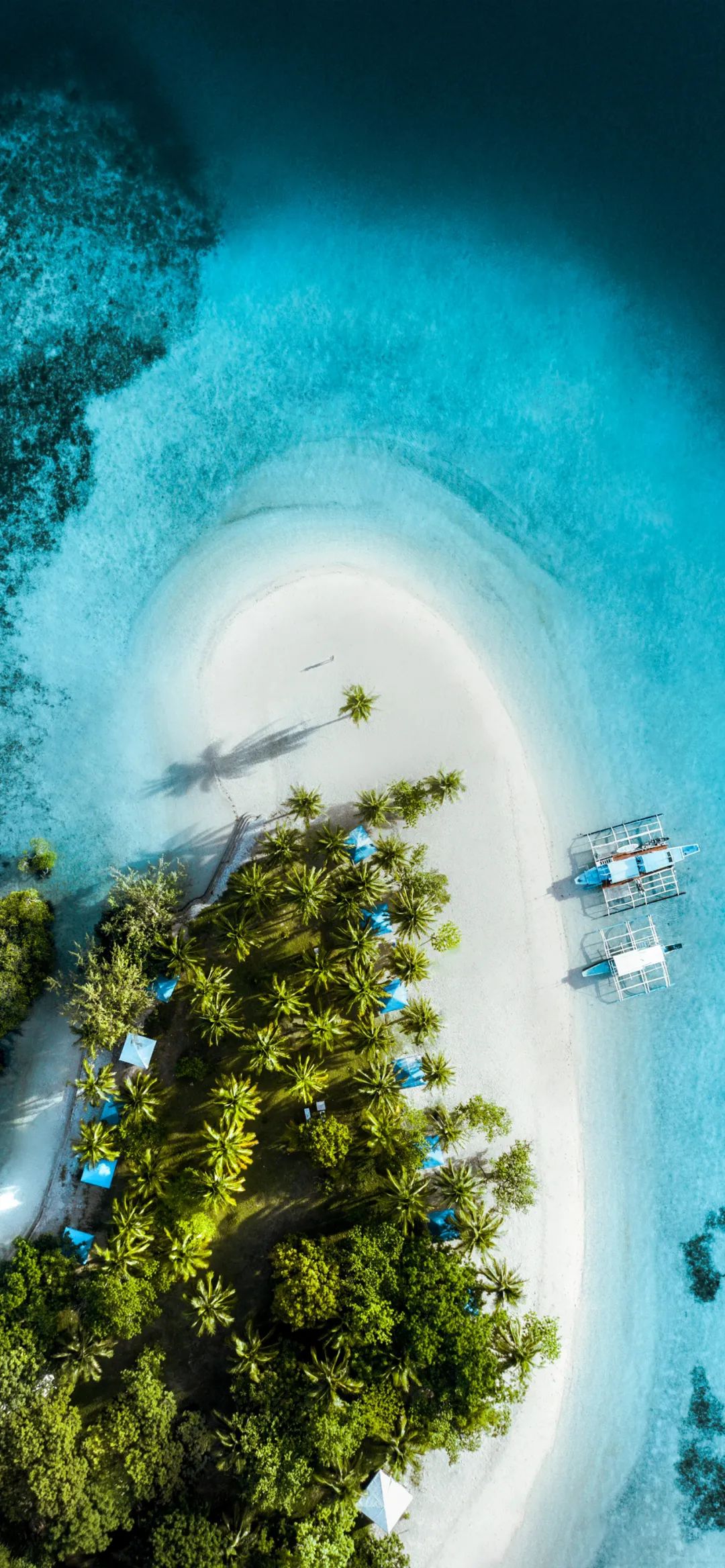 手机壁纸 | 你一句春不晚 我便到了真江南 - 炫图天下