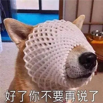 啧啧啧，她，啧啧啧！ - 炫图天下