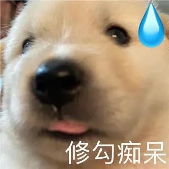 还是你大！ - 炫图天下