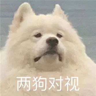 笑起来好大！ - 炫图天下