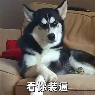 港妹，都这么豪放的吗？！ - 炫图天下