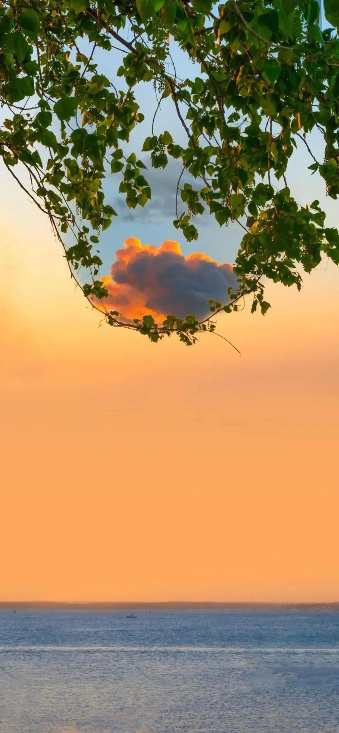 手机壁纸 | 许多人来来去去 相聚又别离 - 炫图天下