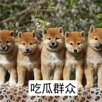 日本网红！ - 炫图天下