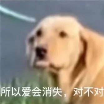 日本の网红，大大の可以！ - 炫图天下