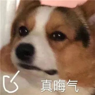 这么大的事！ - 炫图天下