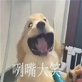好欲啊，这个网红！！ - 炫图天下