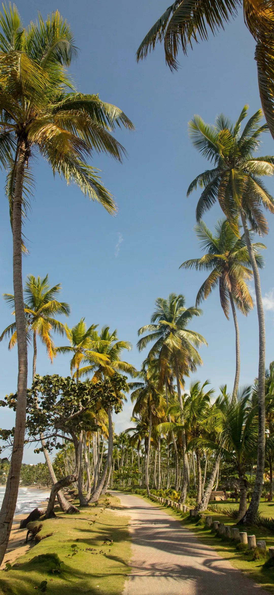 全屏壁纸 | 不需要再计较 只是我曾这样深爱过 - 炫图天下