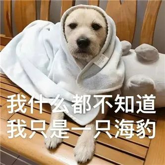 这位，好顶啊！ - 炫图天下