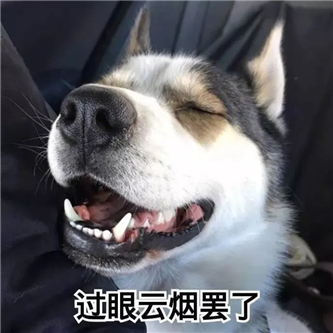 台妹，还得是台妹啊！！ - 炫图天下