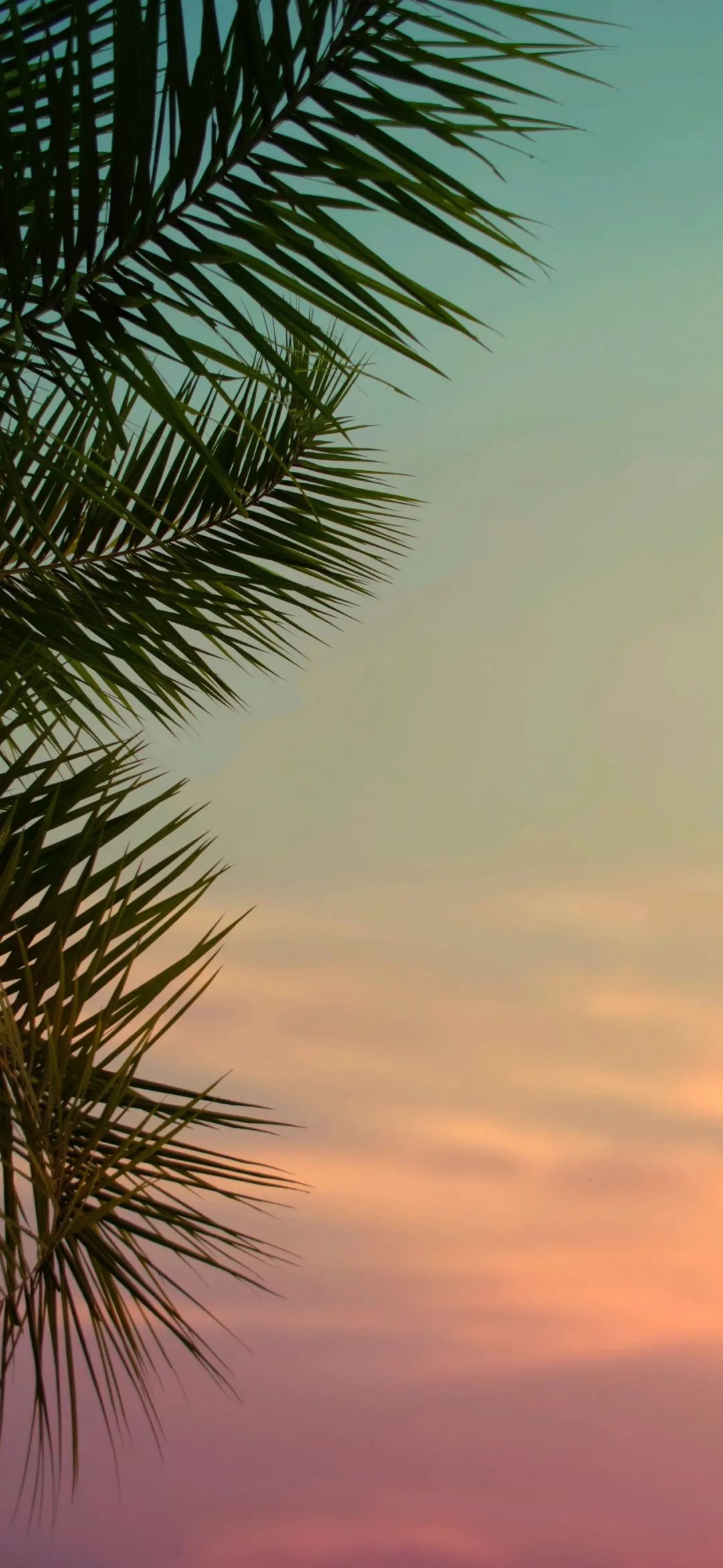 超美壁纸 | 是你让我一颗真心荒废 慢慢的枯萎 - 炫图天下