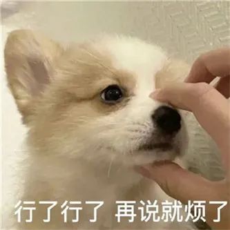 霍华德の啦啦队拜年啦！ - 炫图天下