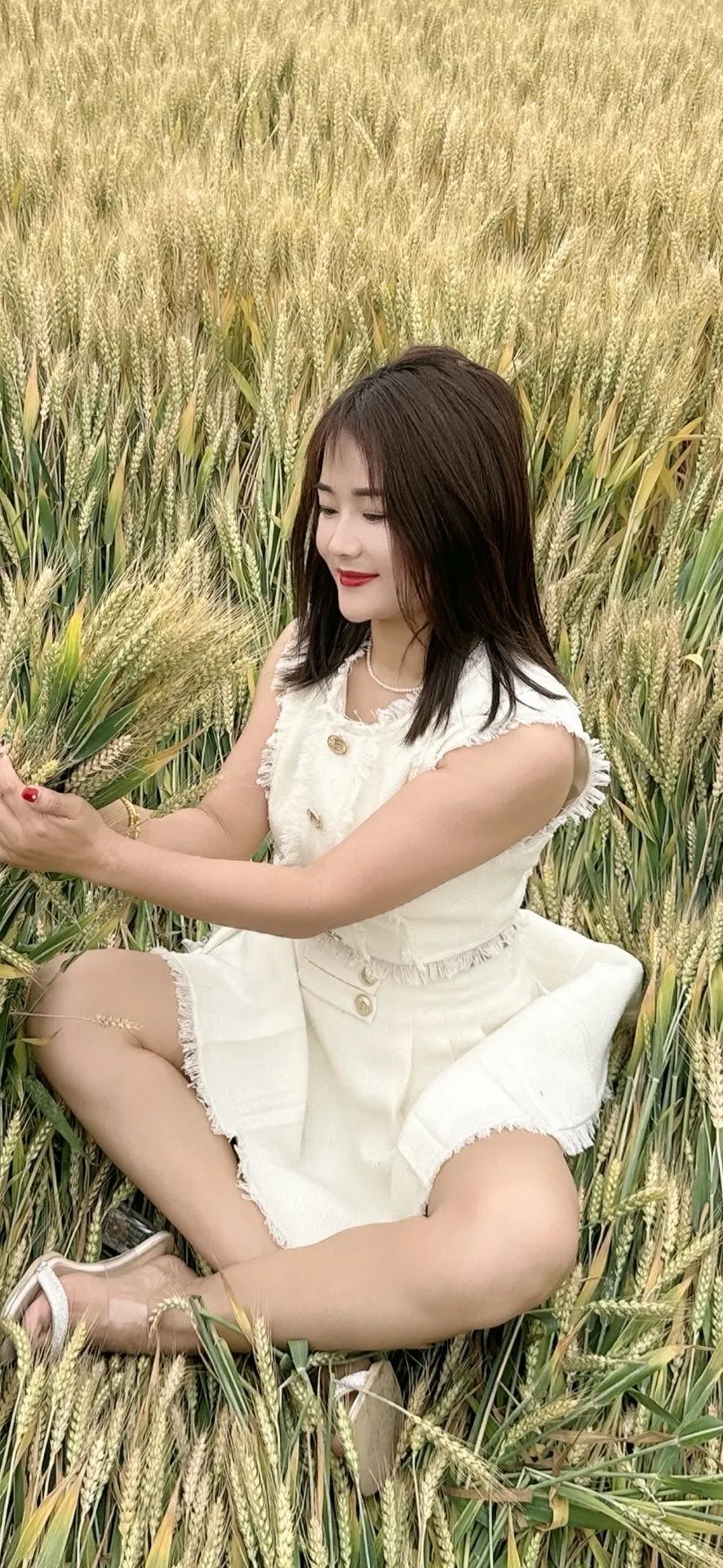 回家，收麦子啦 - 炫图天下