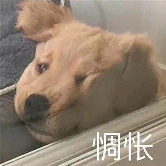 S级天赋，太可以了8！！ - 炫图天下