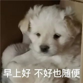 这腿，可以可以！！ - 炫图天下