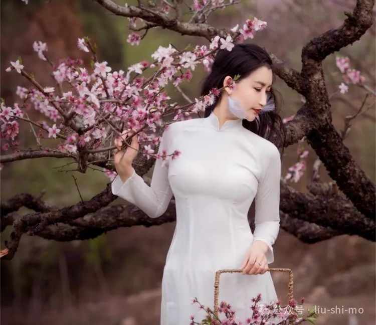 手机拍人像，大光圈模式有三种“玩法”，你会用吗？ - 炫图天下