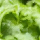 朋友圈｜521浪漫小文案 - 炫图天下