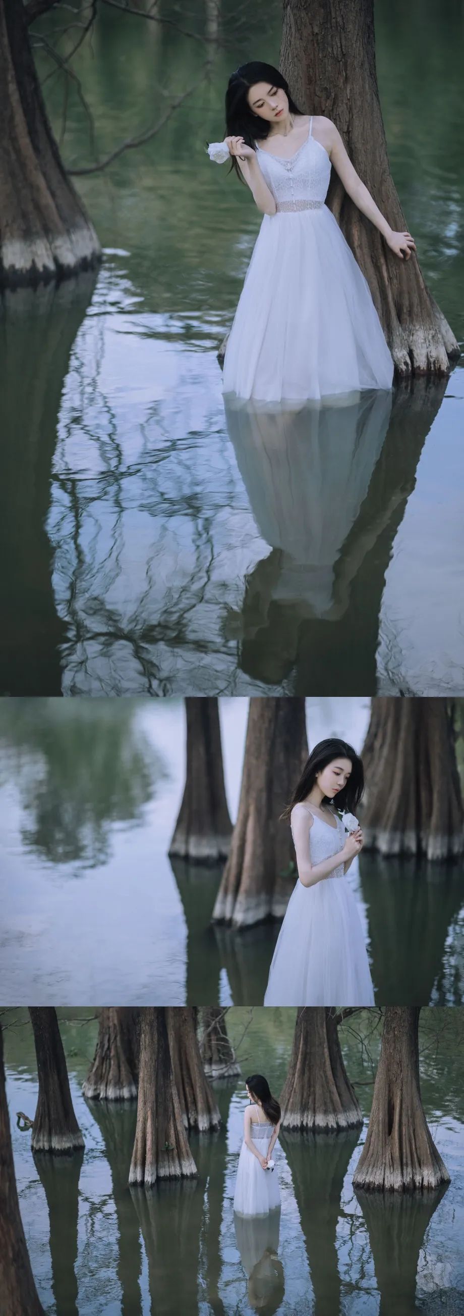 水生植物摄影师 若寒Rock - 炫图天下