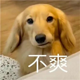 台妹主播！ - 炫图天下